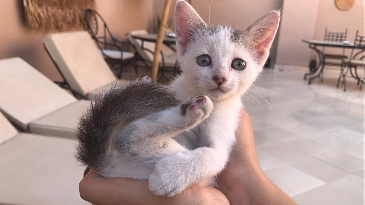 Riad Dar Nossa Marrákes Kültér fotó